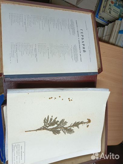 Учебные пособия по биологии, зоологии (гербарий )