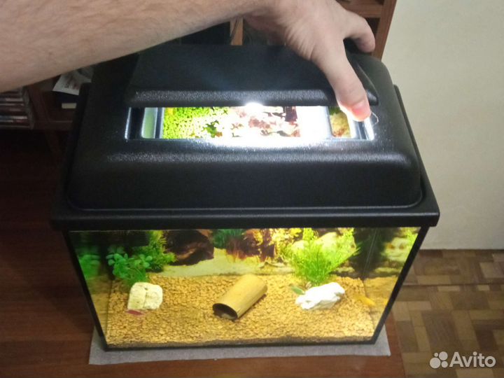 Отличный, готовый аквариум