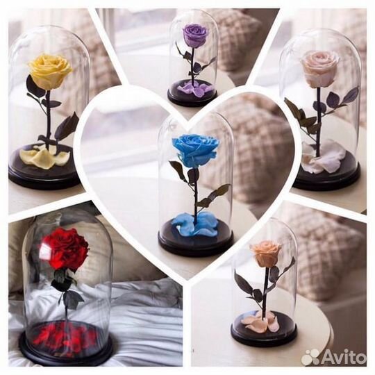 Роза в колбе