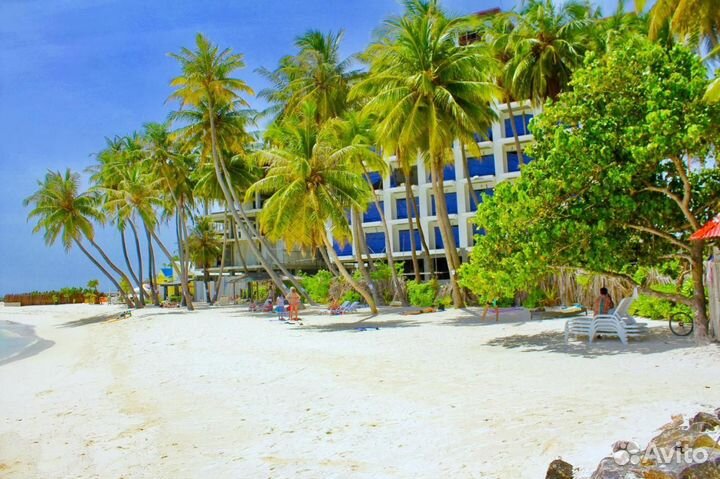 Тур на Маафуши (Мальдивы)