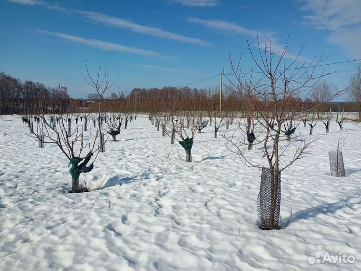 Садовник