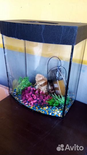 Аквариум с принадлежностями