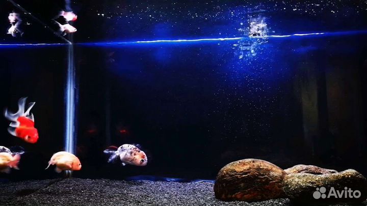 Задний фон для аквариума