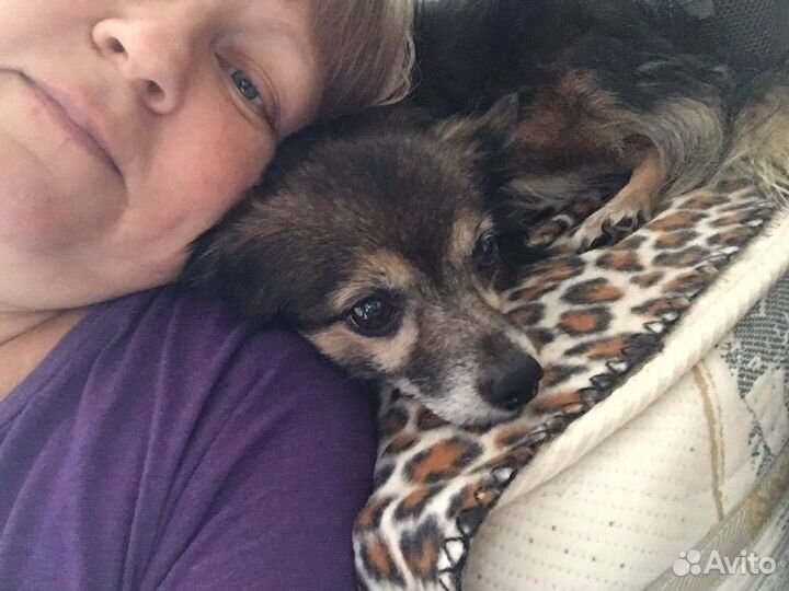 Передержка Черёмушки собаки кошки и любые другие