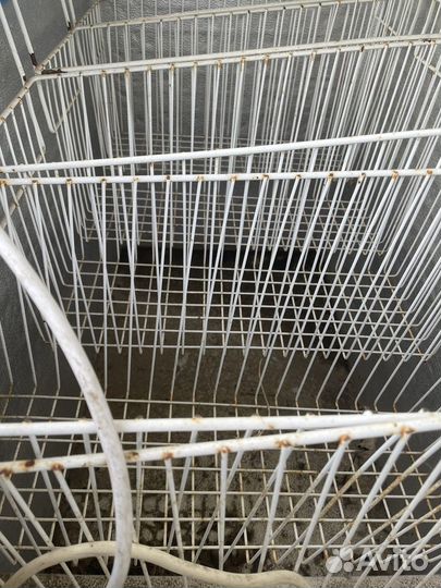 Морозильные лори