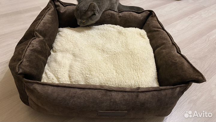 Лежанка для животных