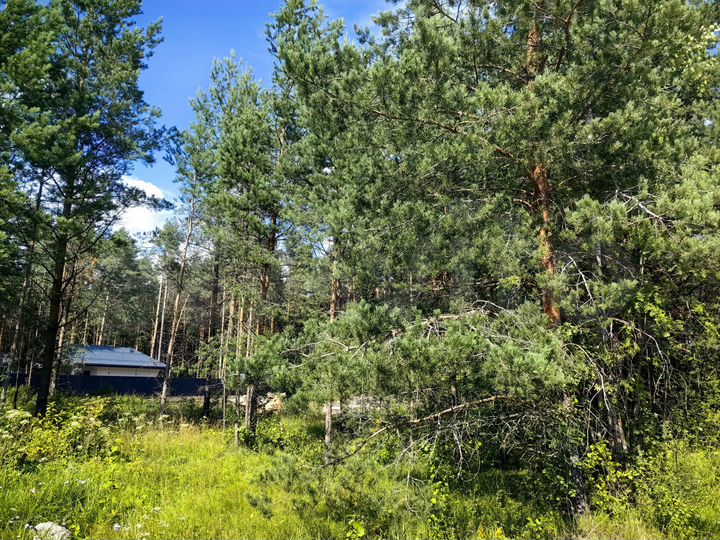 Участок 20,5 сот. (ИЖС)