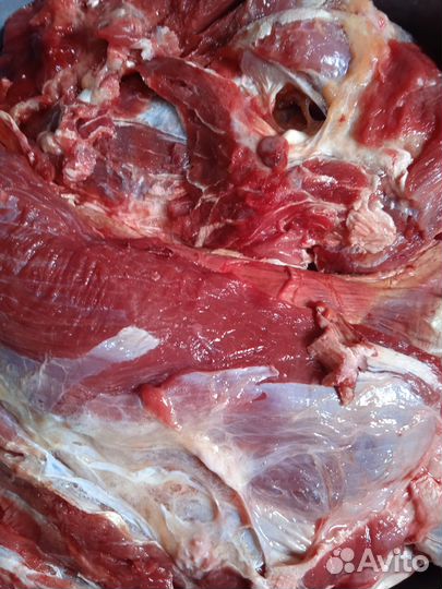 Мясо говядина для собак