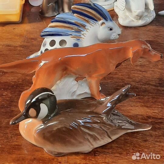 Селезень, собака, дикообраз в отличном состоянии