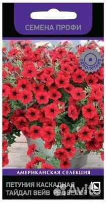 Черенки петунии серии Тайдал и бакопы