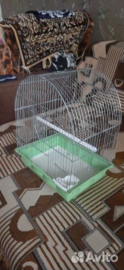 Клетки для попугаев и крыс разные