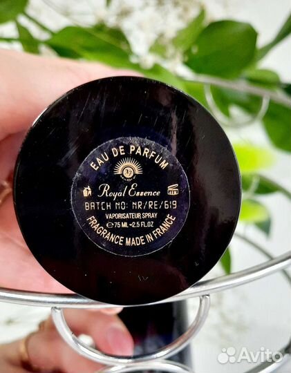 Suzana, Noran Perfumes