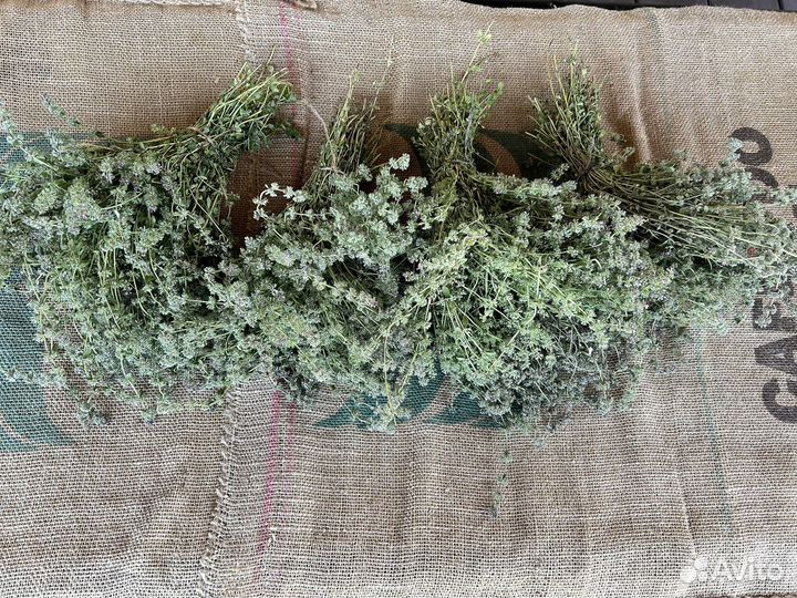 Чабрец, тимьян