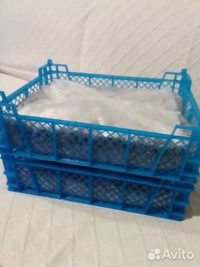 Готовые блоки шампиньонов