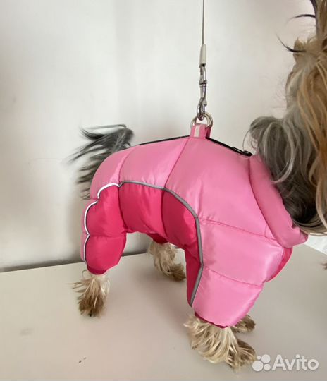 Зимняя одежда для собак мелких пород
