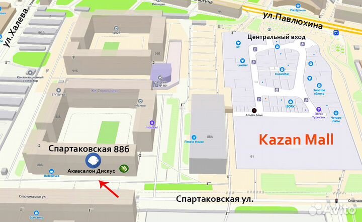 Змееголов Марулиус - Аквасалон Дискус