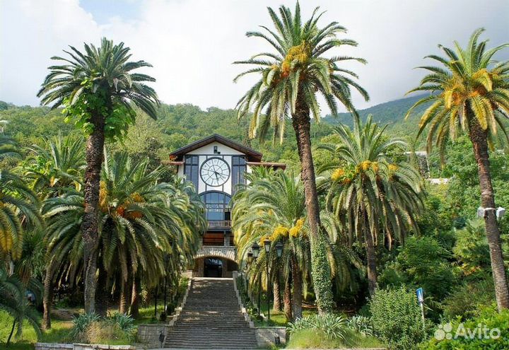 Экскурсии по Абхазии на минивэне