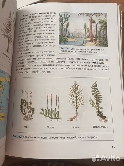 Учебники 5 класс