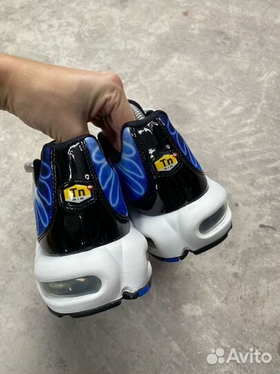 Nike Air Max Plus Light Photography Old Royal