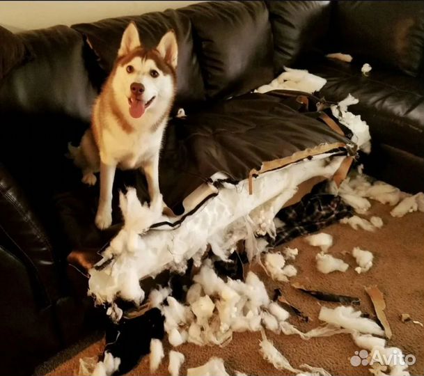 Ремонт и перетяжка мягкой мебели