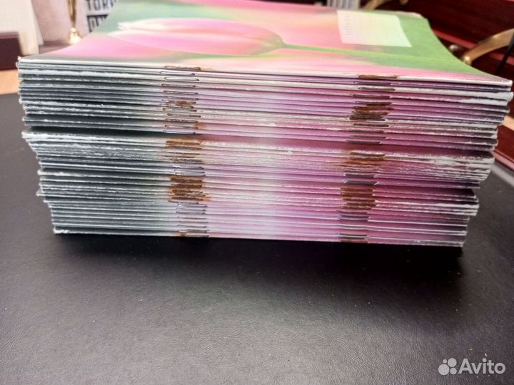 Тетрадь в клетку, дневник