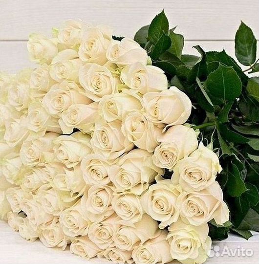 Высокие Розы с Доставкой