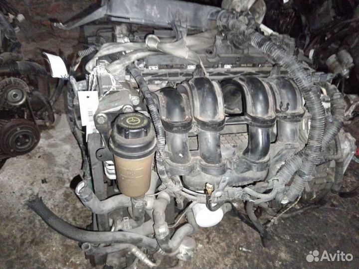 Двигатель Ford Focus 3 pnda 2013