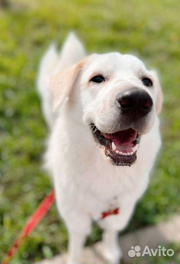 Лу, малышка, ищет маму