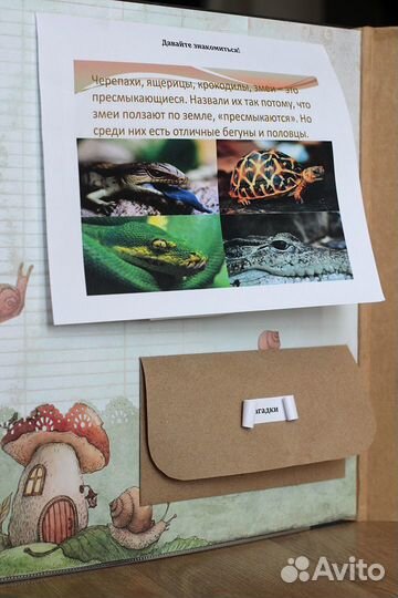 Лэпбук окружающий мир 1-2 класс