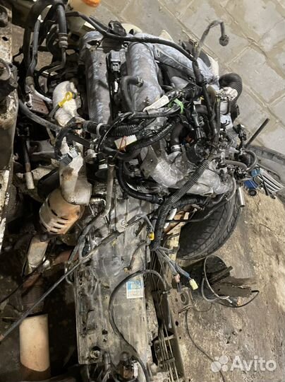 АКПП 2.5 03-72le сузуки гранд витара