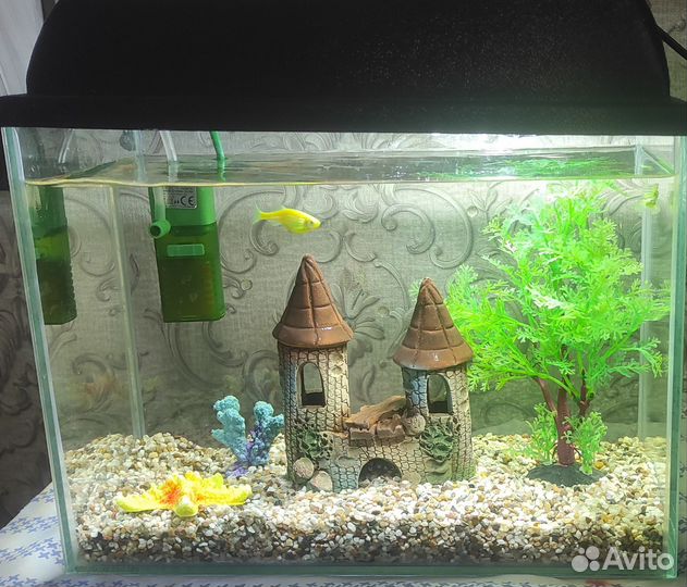 Аквариум с рыбками