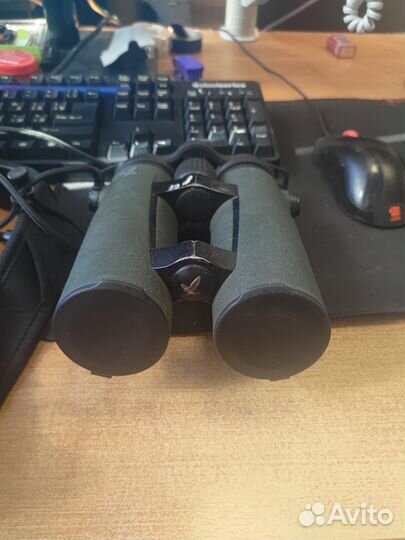 Бинокль-дальномер Swarovski range 10x42