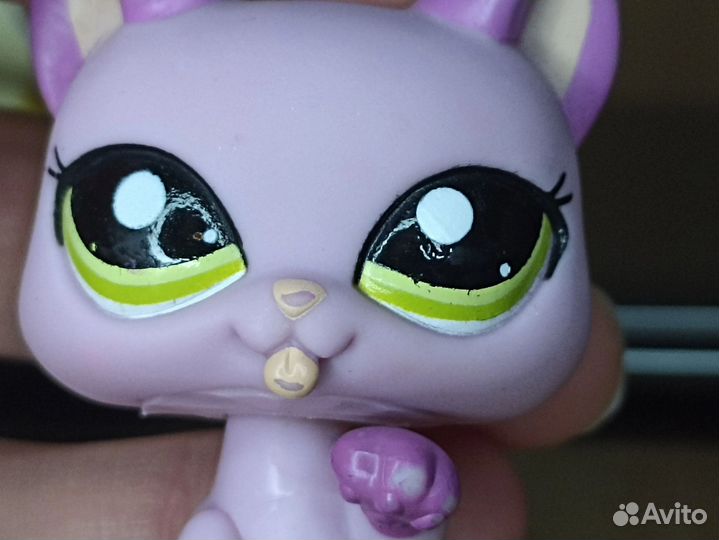 Главная героиня фильма «любовь и голуби»