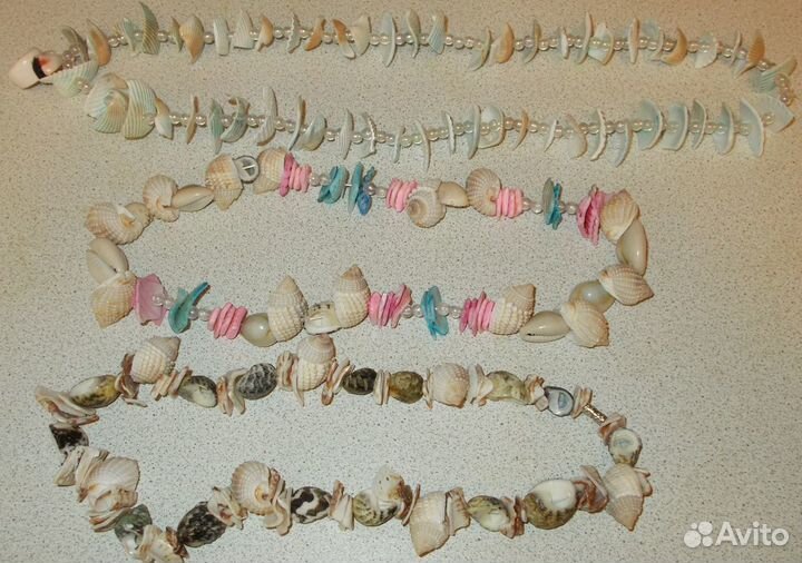 Морские ракушки