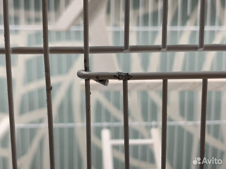 Клетка для птиц / попугая