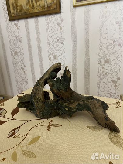 Коряга дла аквариума/террариума