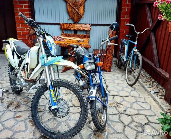 Avantis fx 250 lux