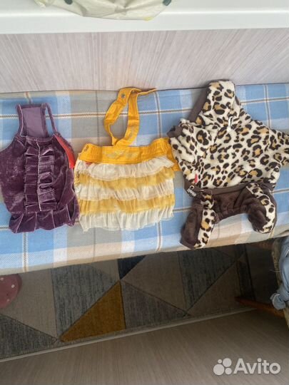 Комбинезон для маленькой собаки