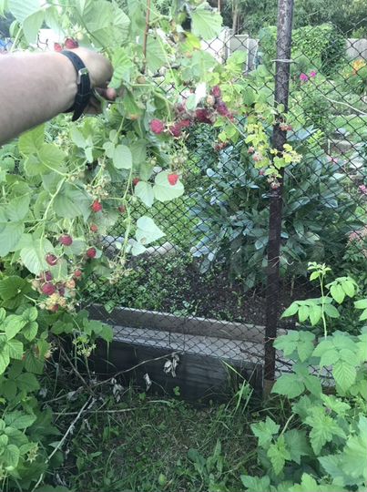 Дача 40 м² на участке 13 сот.