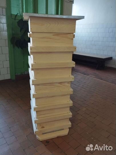 Японский улей