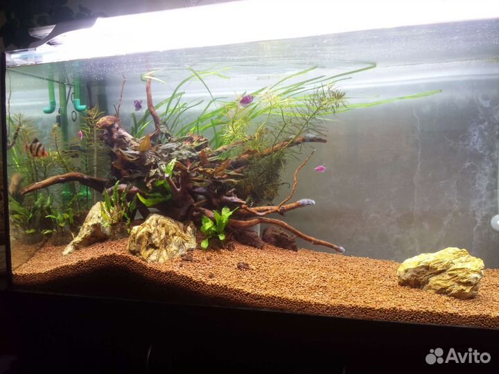 Аквариум