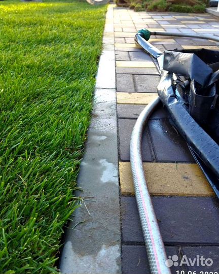 Рулонный газон