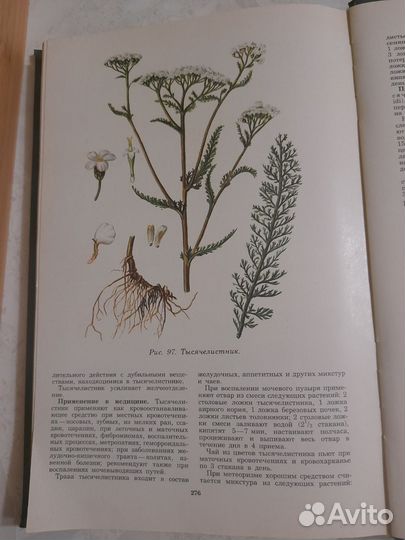 Лекарственные растения СССР