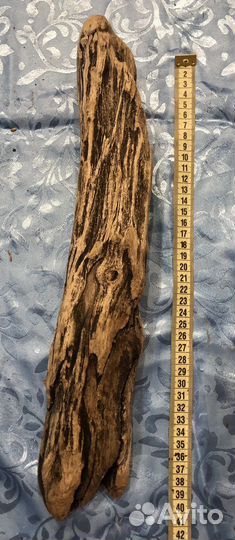 Морская коряга, дрифтвуд