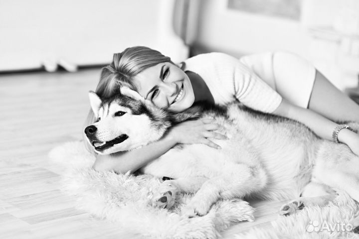 Гостиница для животных