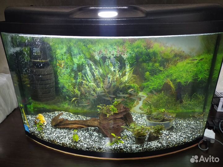 Аквариум