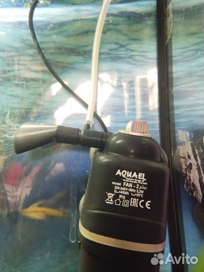 Аквариум 100 литров