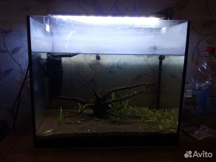 Продам аквариум
