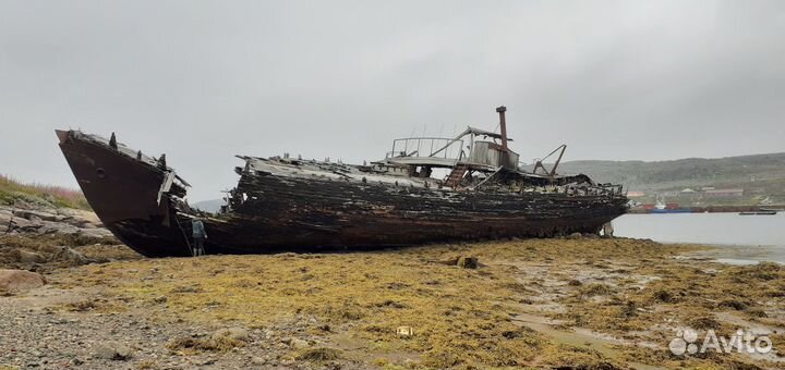 Тур в Дальние Зеленцы,Баренцево море