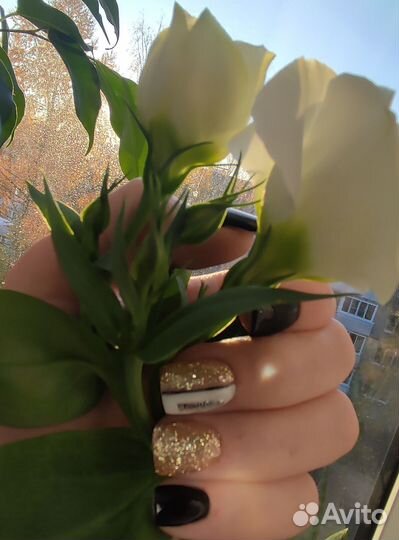 Ищу моделей на маникюр